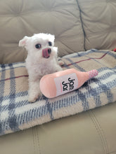 Load image into Gallery viewer, Jam Jar Dog Toy