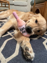 Load image into Gallery viewer, Jam Jar Dog Toy