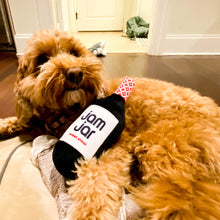 Load image into Gallery viewer, Jam Jar Dog Toy